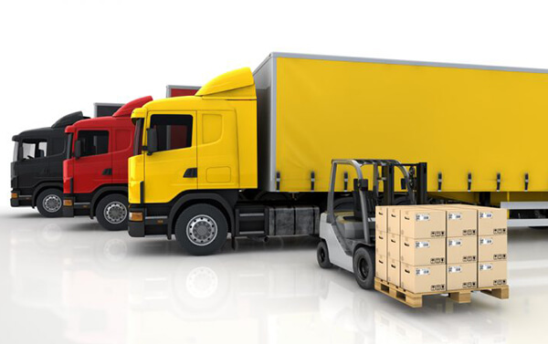 تیمی مجرب و حرفه‌ای